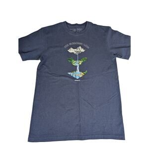 Patagonia Glacier Born Responsibili Tee M Med Men's T-Shirt